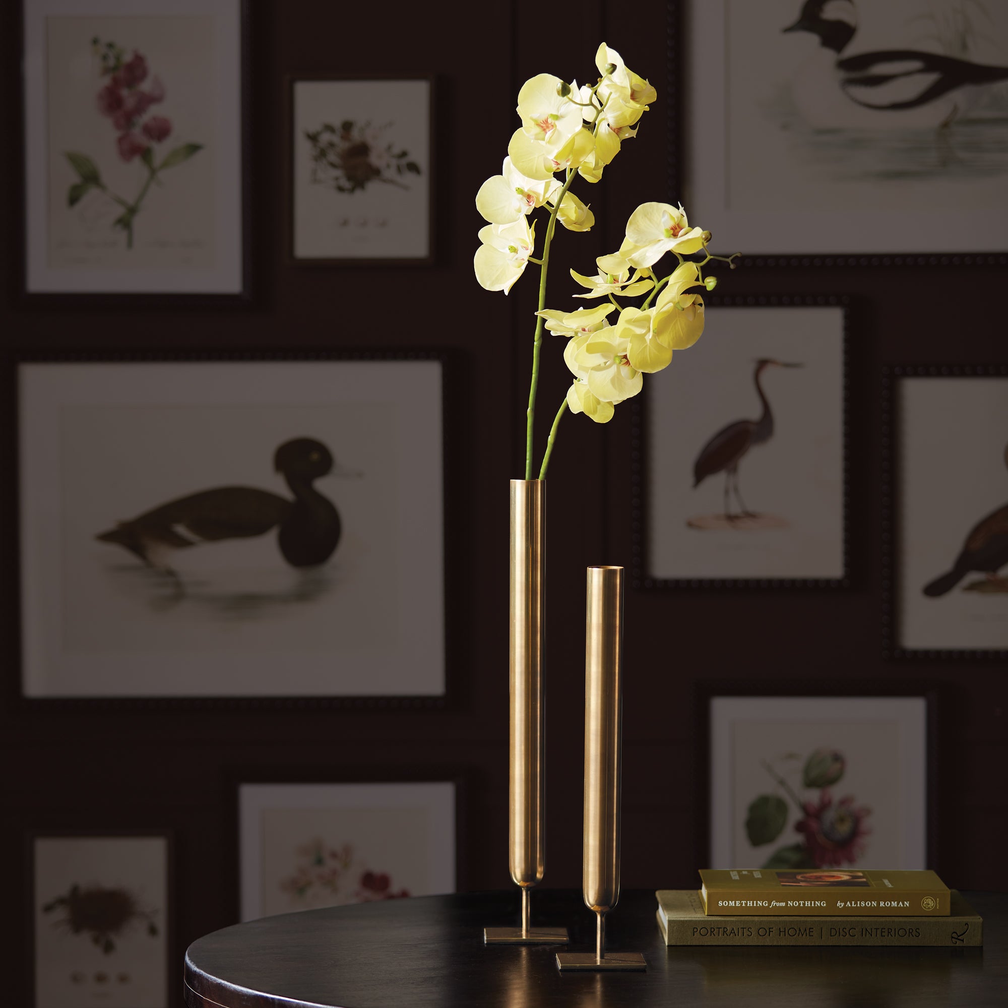 Phalaenopsis Orchid Stems 28" St/4 - View 4