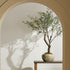 Province Lotus Planter Large - View 6
