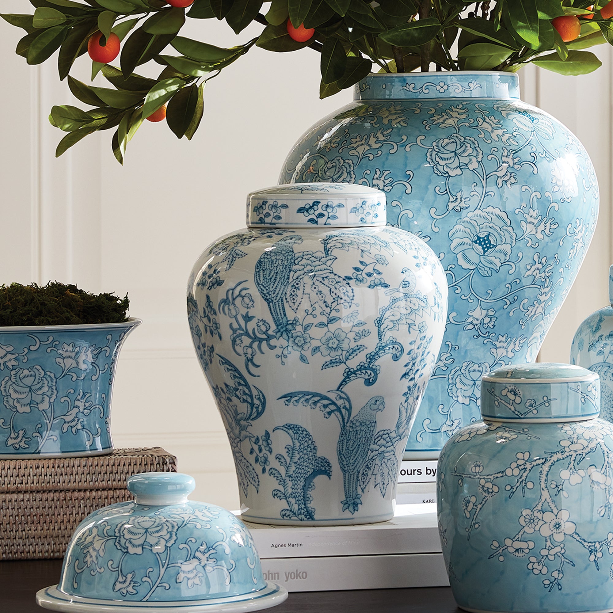 Monarch Parrot Ginger Jar - View 5