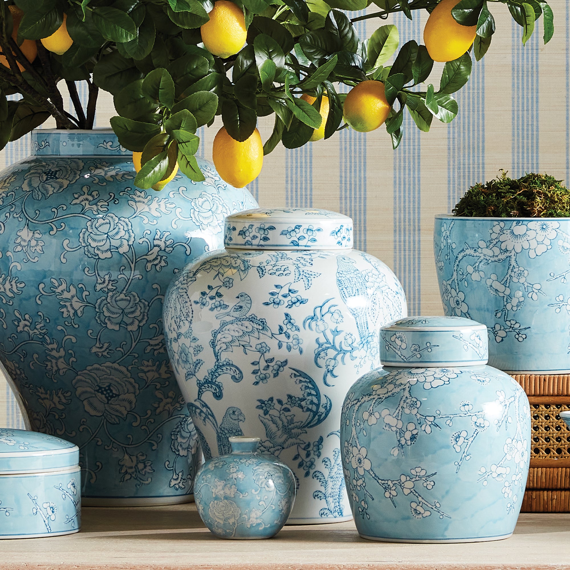 MONARCH PARROT GINGER JAR - view 6