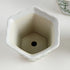 Imperial Flared Pots, Set Of 3 - View 4