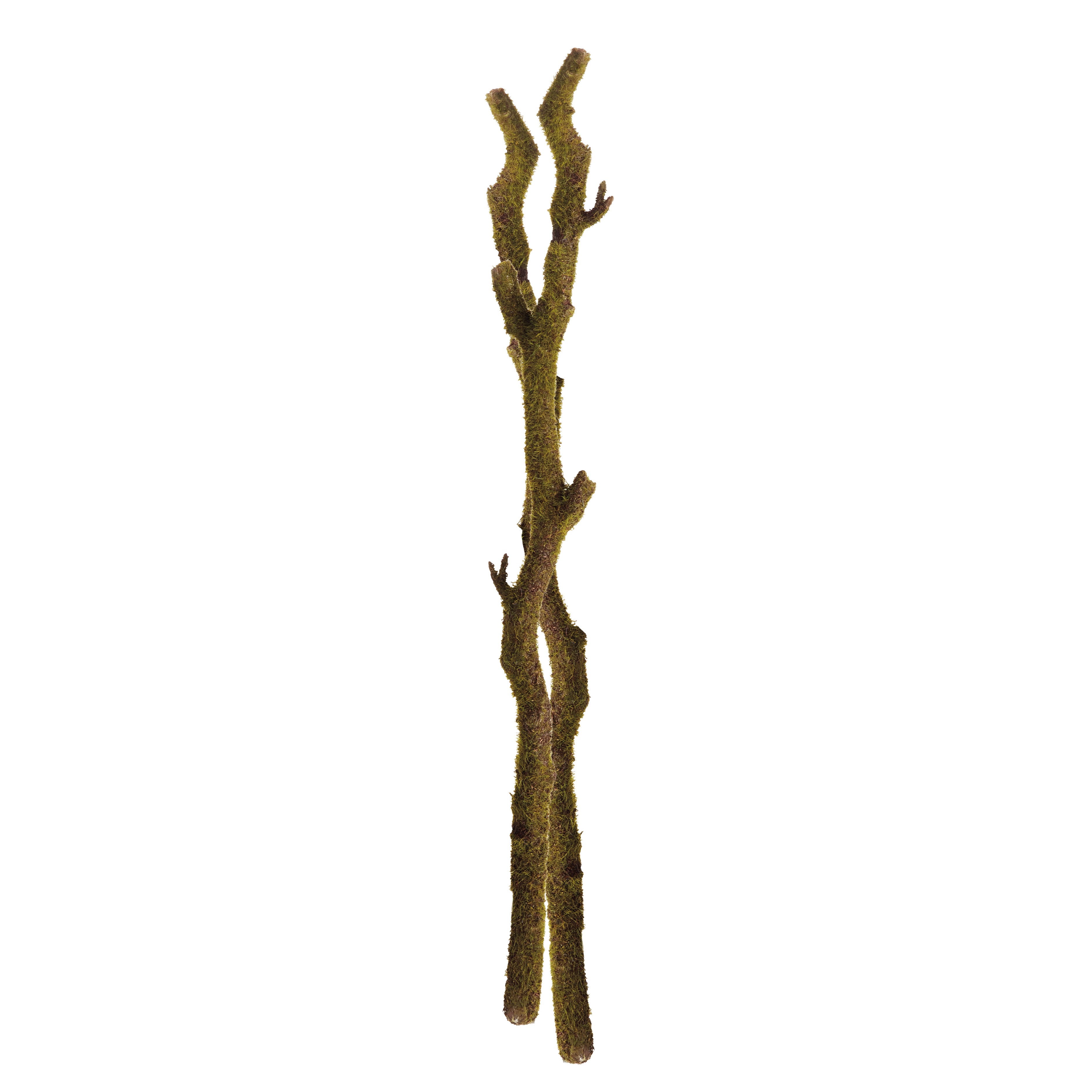 MOSS BRANCHES 24", SET OF 2 - view 3