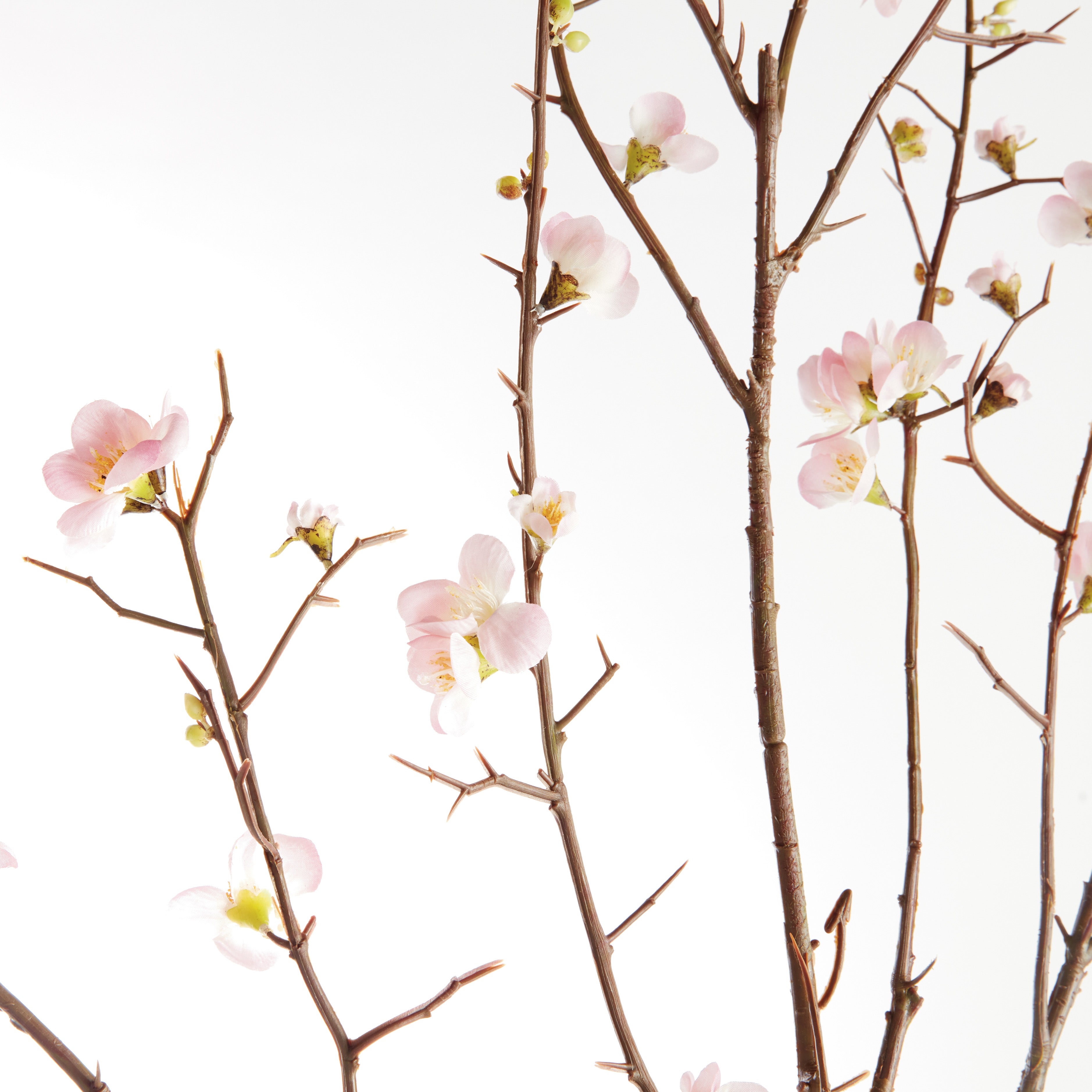 Pink Quince Blossom Branches 54", Set Of 2 - View 2