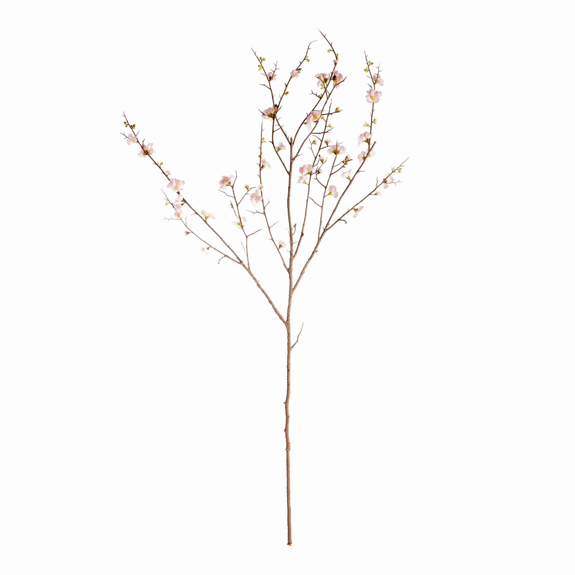 Pink Quince Blossom Branches 54", Set Of 2