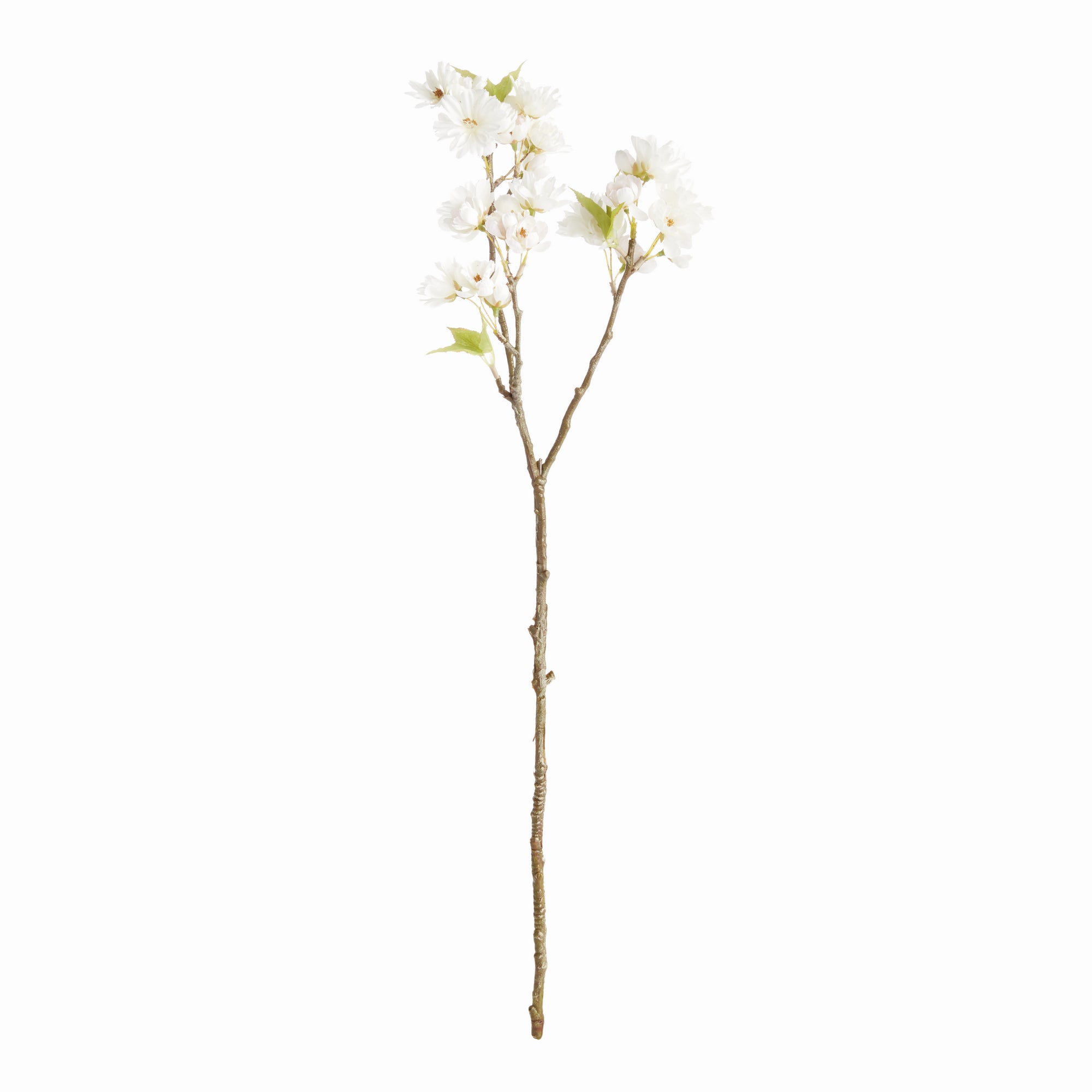 Double Cherry Blossom Stems 28", Set Of 6