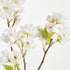 Double Cherry Blossom Stems 28", Set Of 6 - View 2