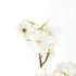 Double Cherry Blossom Stems 28", Set Of 6 - View 3