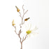 STAR MAGNOLIA STEMS 18", SET OF 6 - view 2