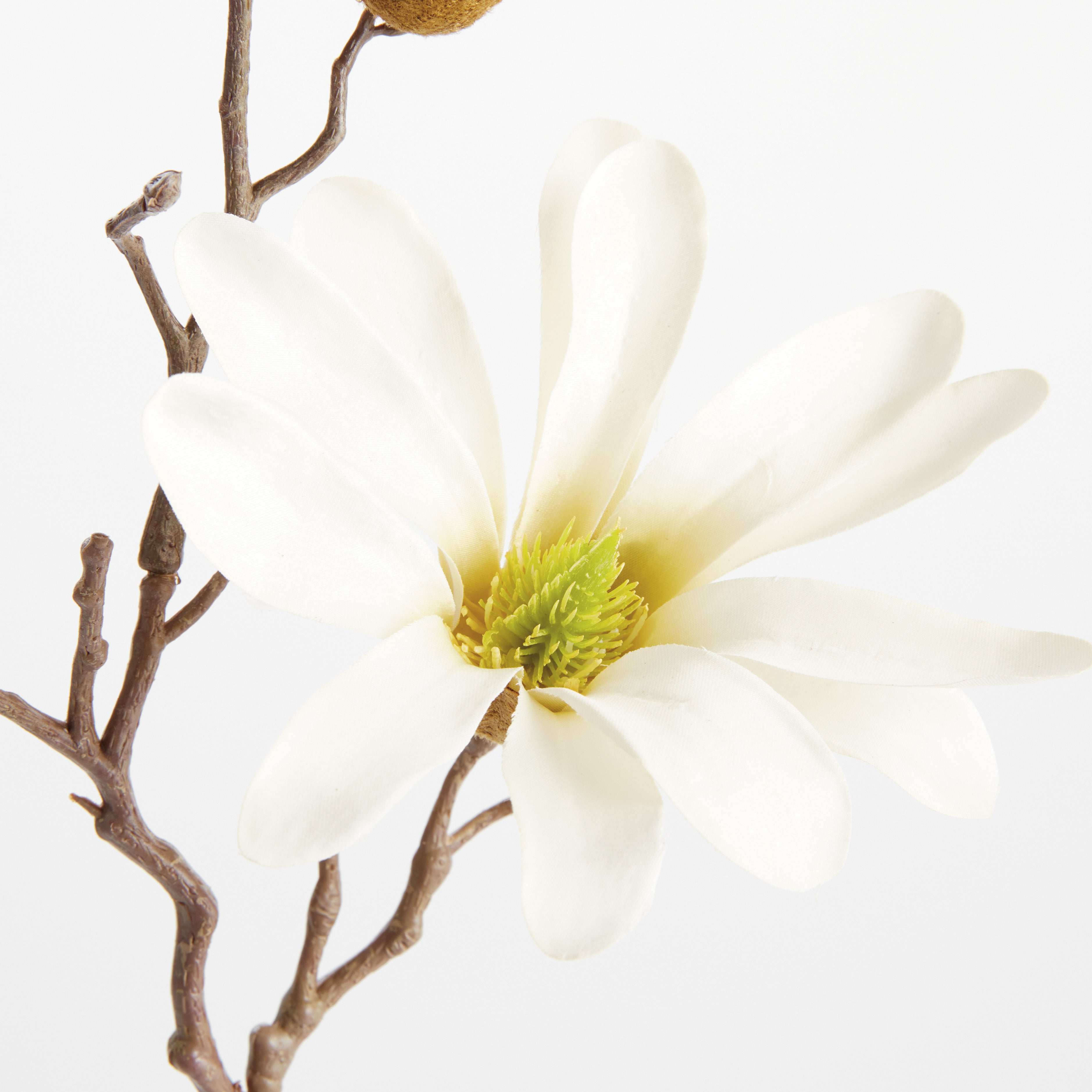 STAR MAGNOLIA STEMS 18", SET OF 6 - view 3