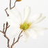 STAR MAGNOLIA STEMS 18", SET OF 6 - view 3