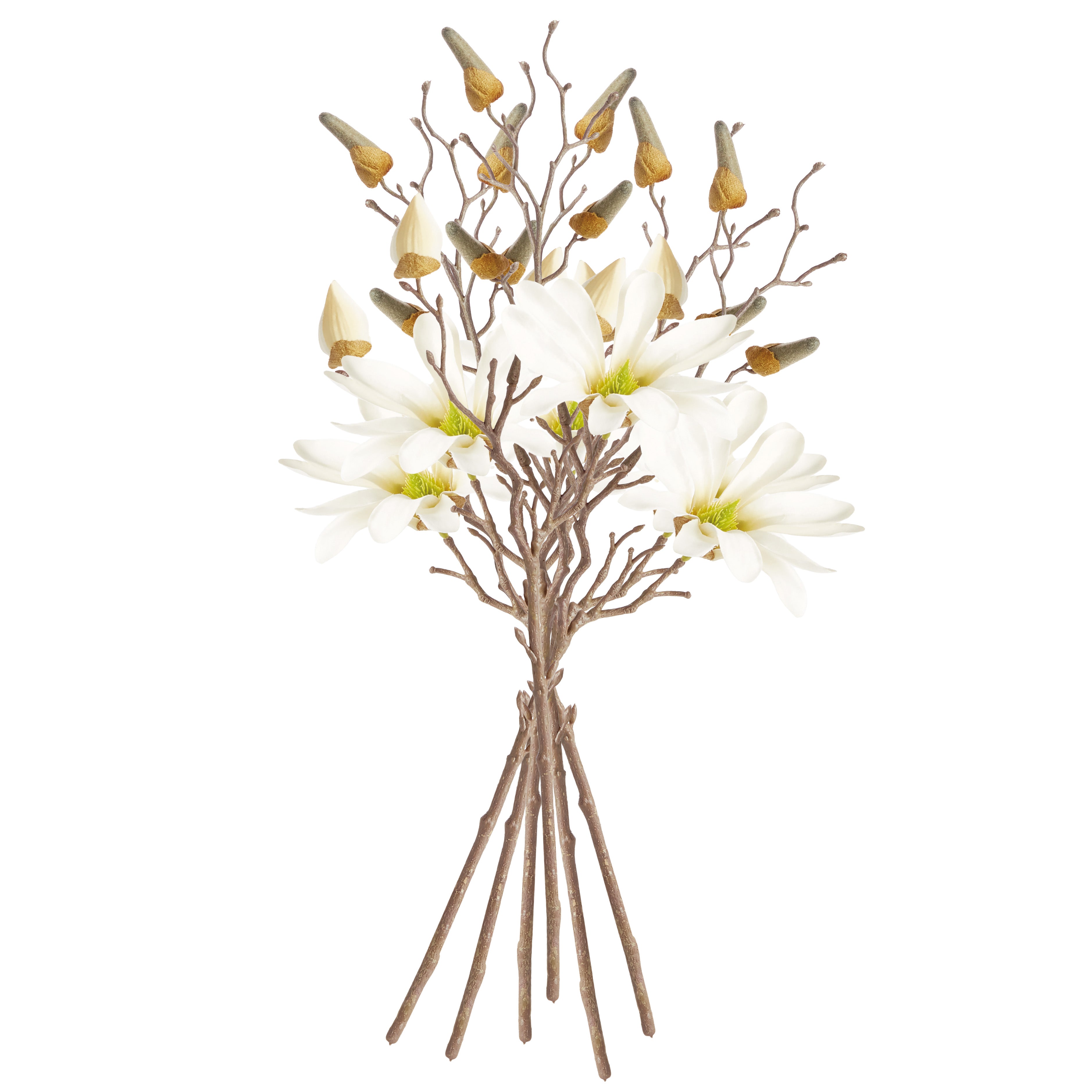 STAR MAGNOLIA STEMS 18", SET OF 6 - view 4