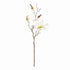 Star Magnolia Stems 18", Set Of 6