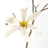 Star Magnolia Branches 32", Set Of 6 - View 2