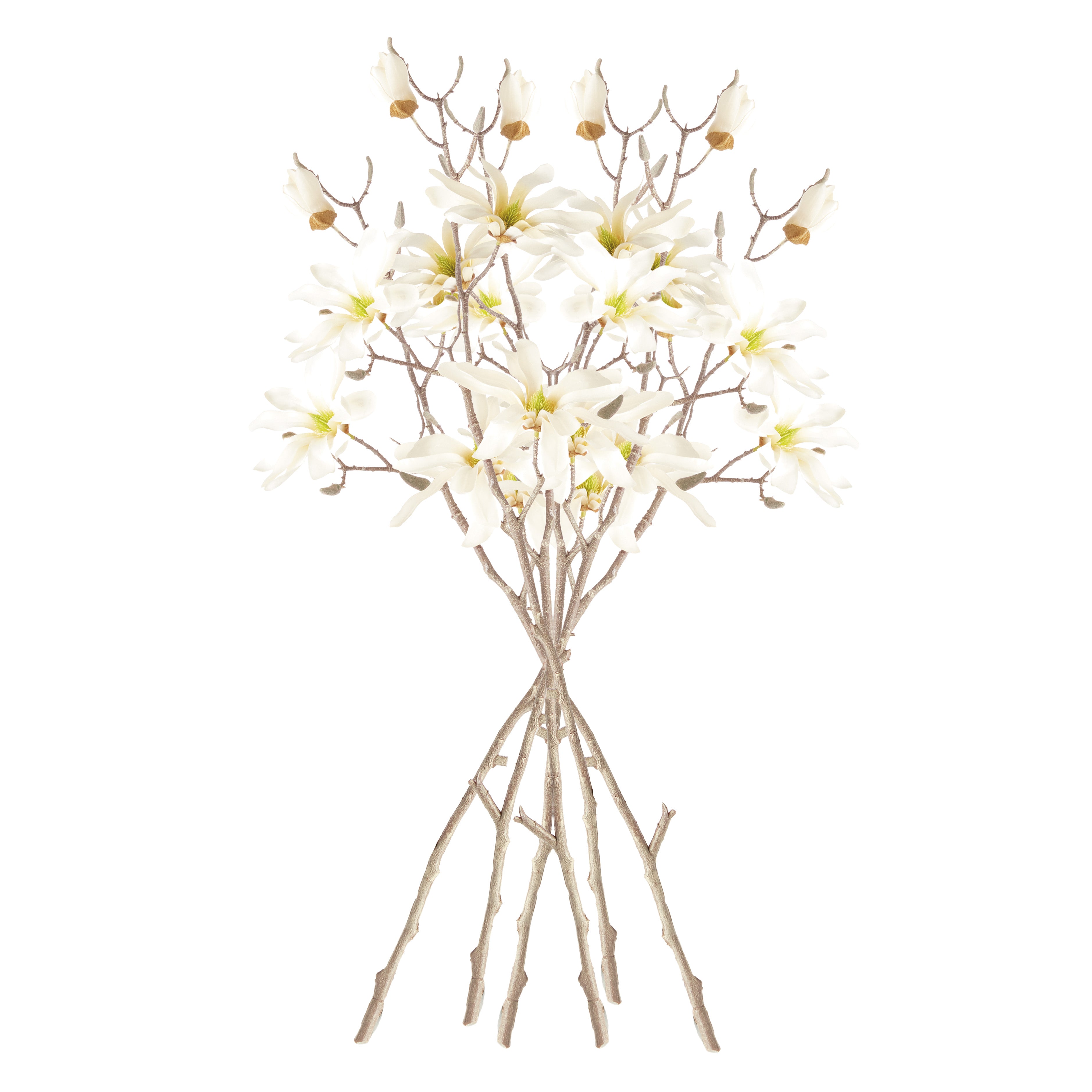 Star Magnolia Branches 32", Set Of 6 - View 3