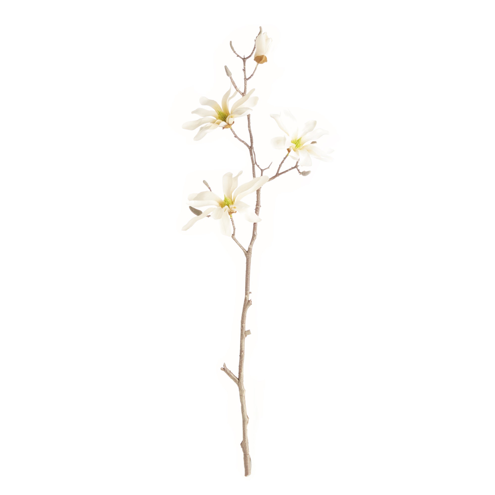Star Magnolia Branches 32", Set Of 6