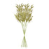Plumosa Stems, Set Of 6 - View 3