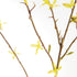 FORSYTHIA STEMS 47", SET OF 6 - view 3