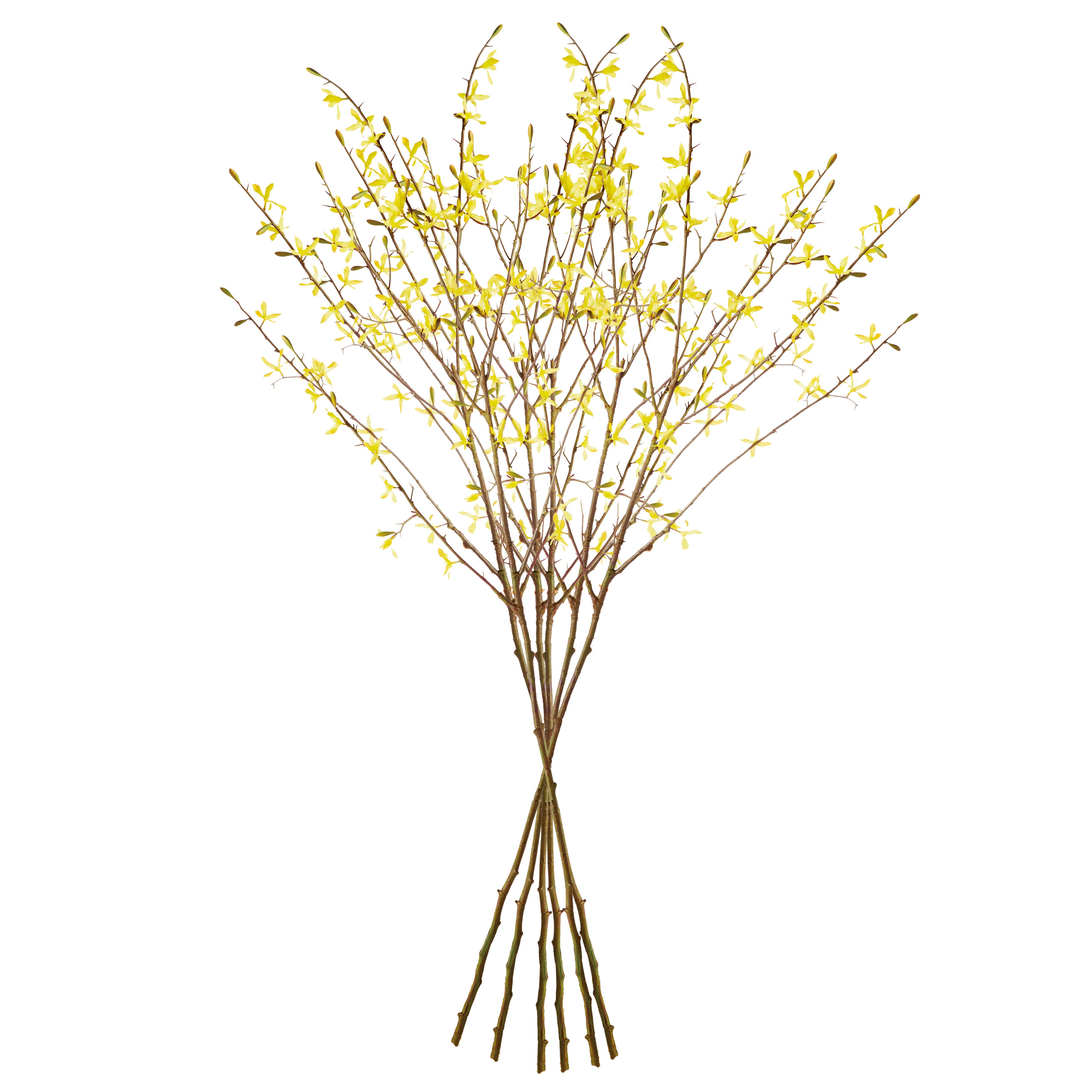 FORSYTHIA STEMS 47", SET OF 6 - view 4
