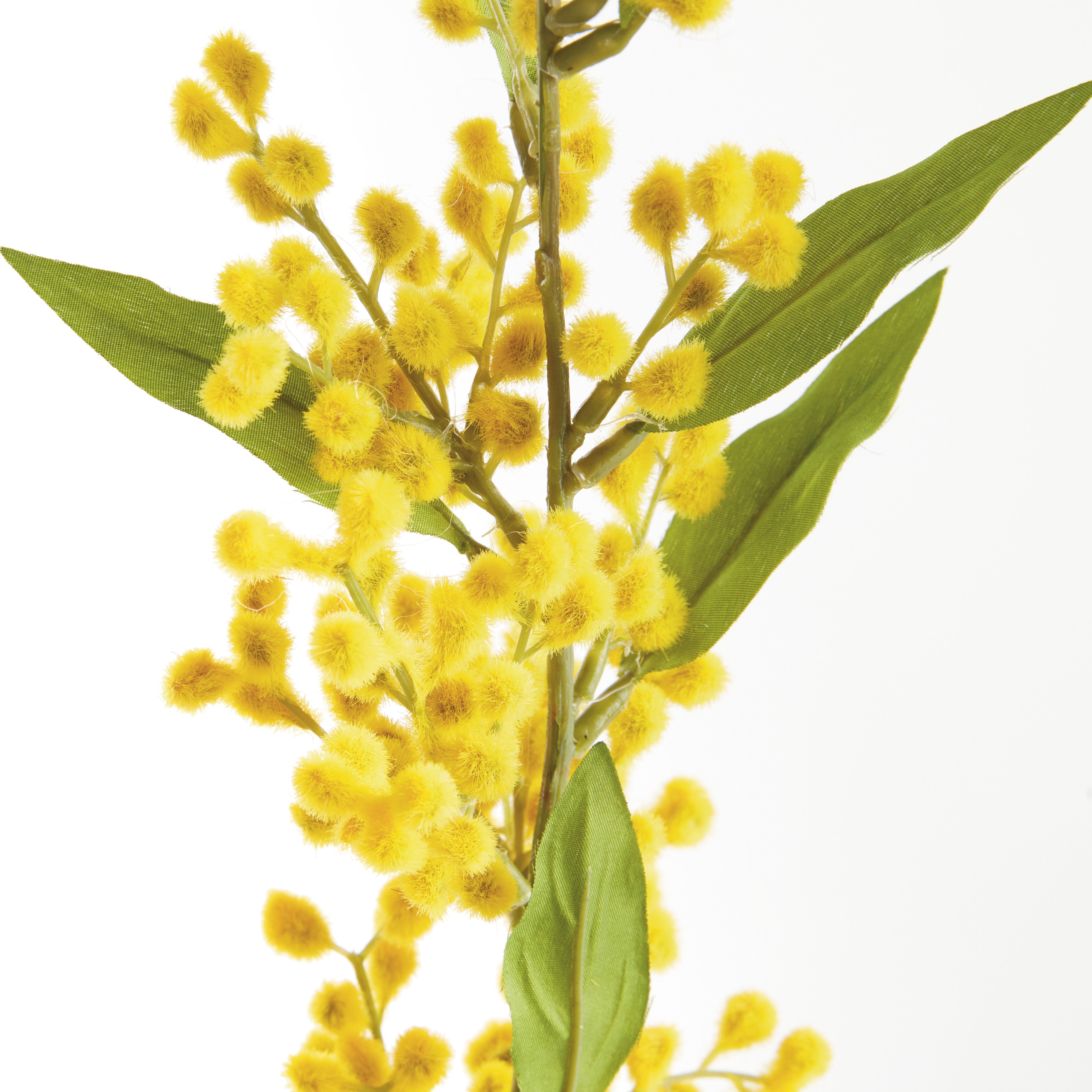 MIMOSA STEMS 27.5", SET OF 6 - view 2