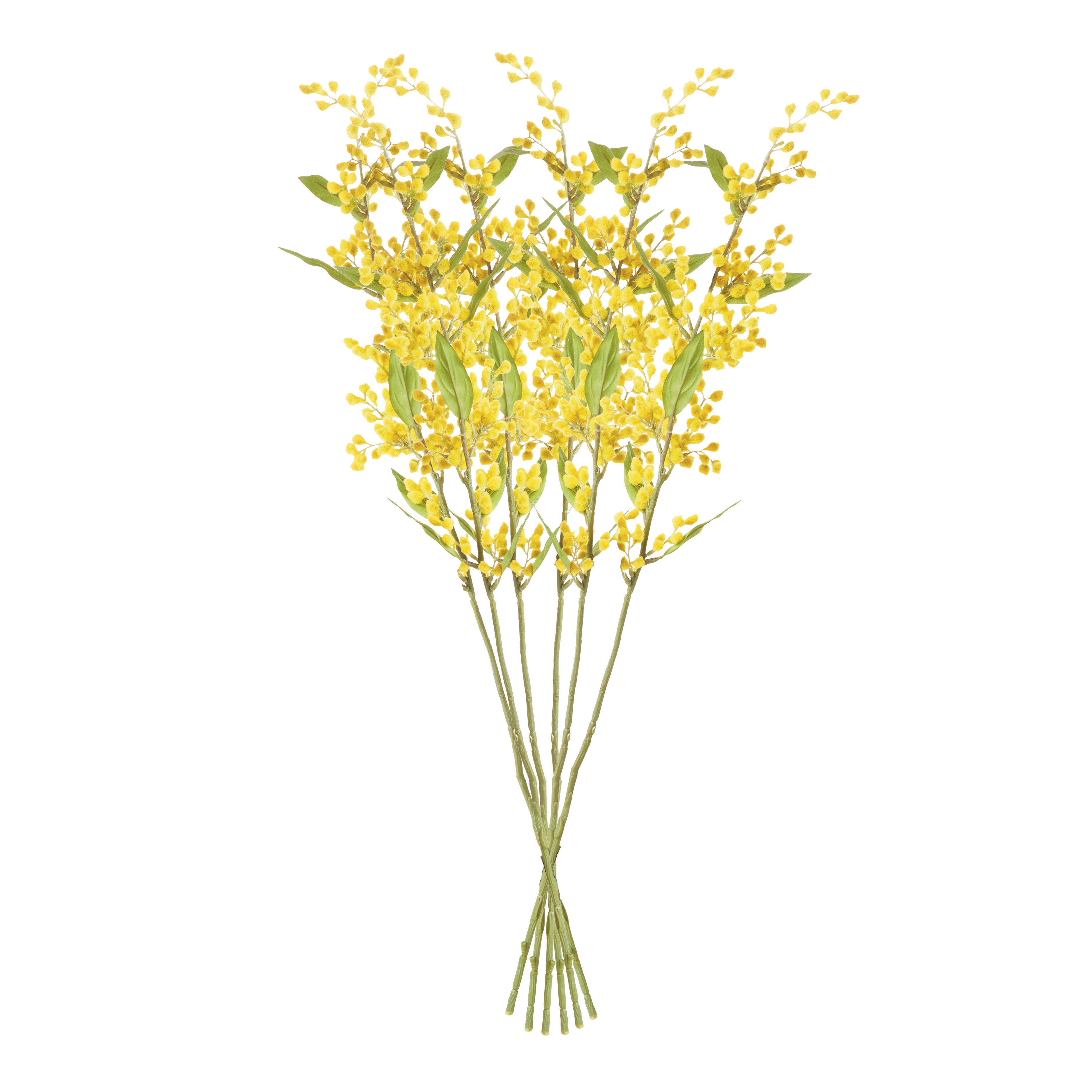 Mimosa Stems 27.5", Set Of 6 - View 3