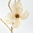 Gilded Magnolia Stems 27" St/6 - View 3