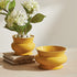 Cora Pot - View 4