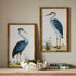 Handsome Heron Pair Prints, Set Of 2 - View 3