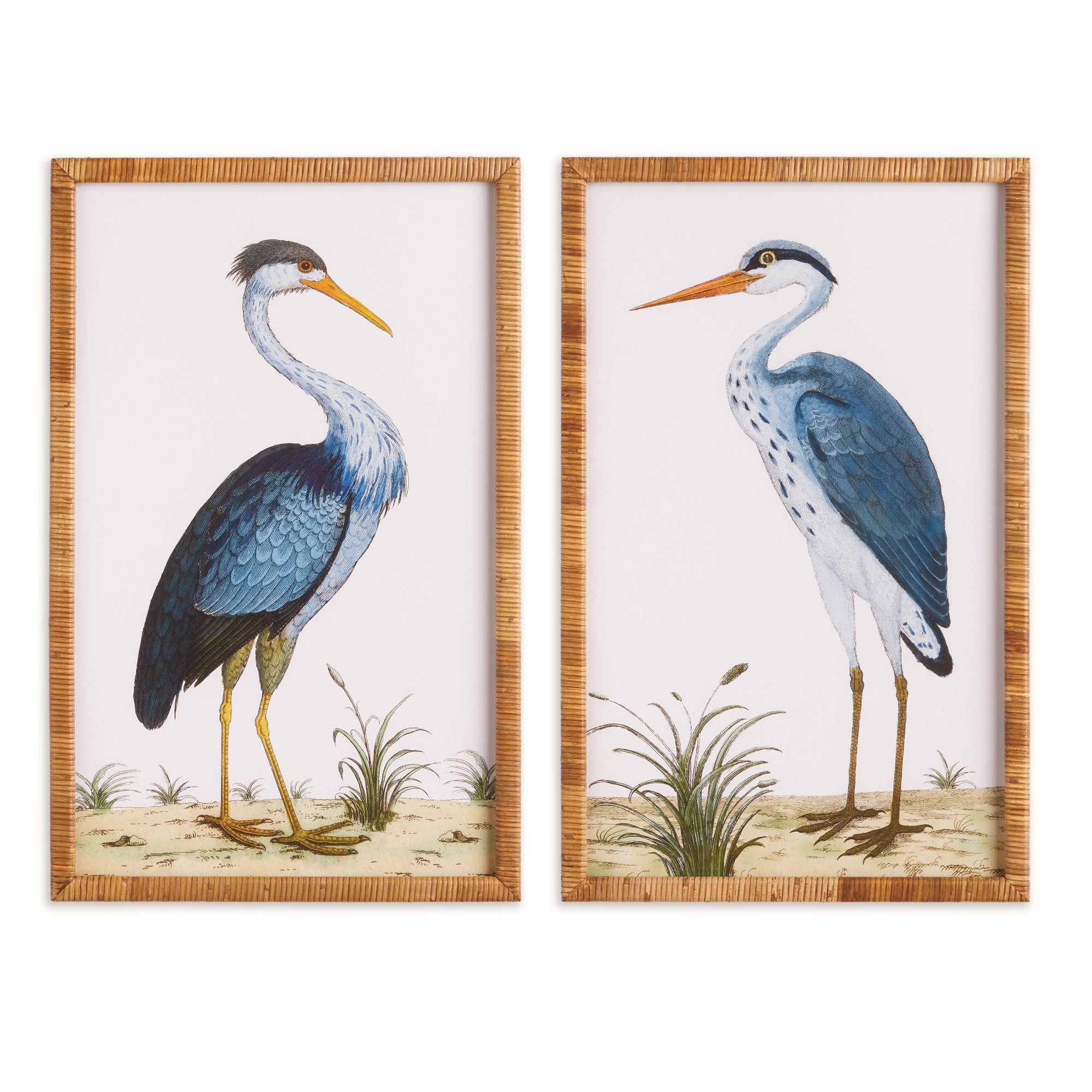 Handsome Heron Pair Prints, Set Of 2