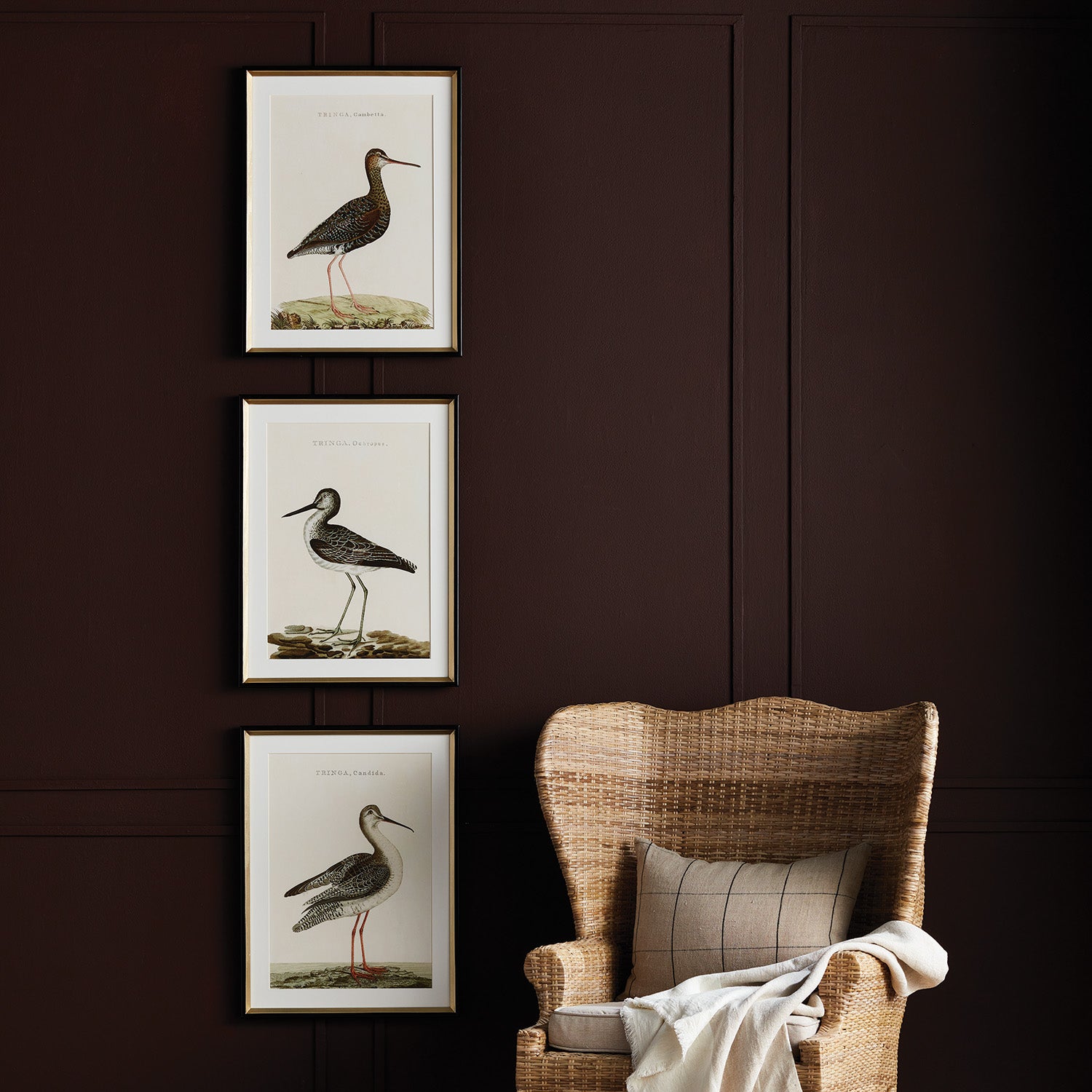 WANDERING BIRDS STUDY, SET OF 3 - view 3