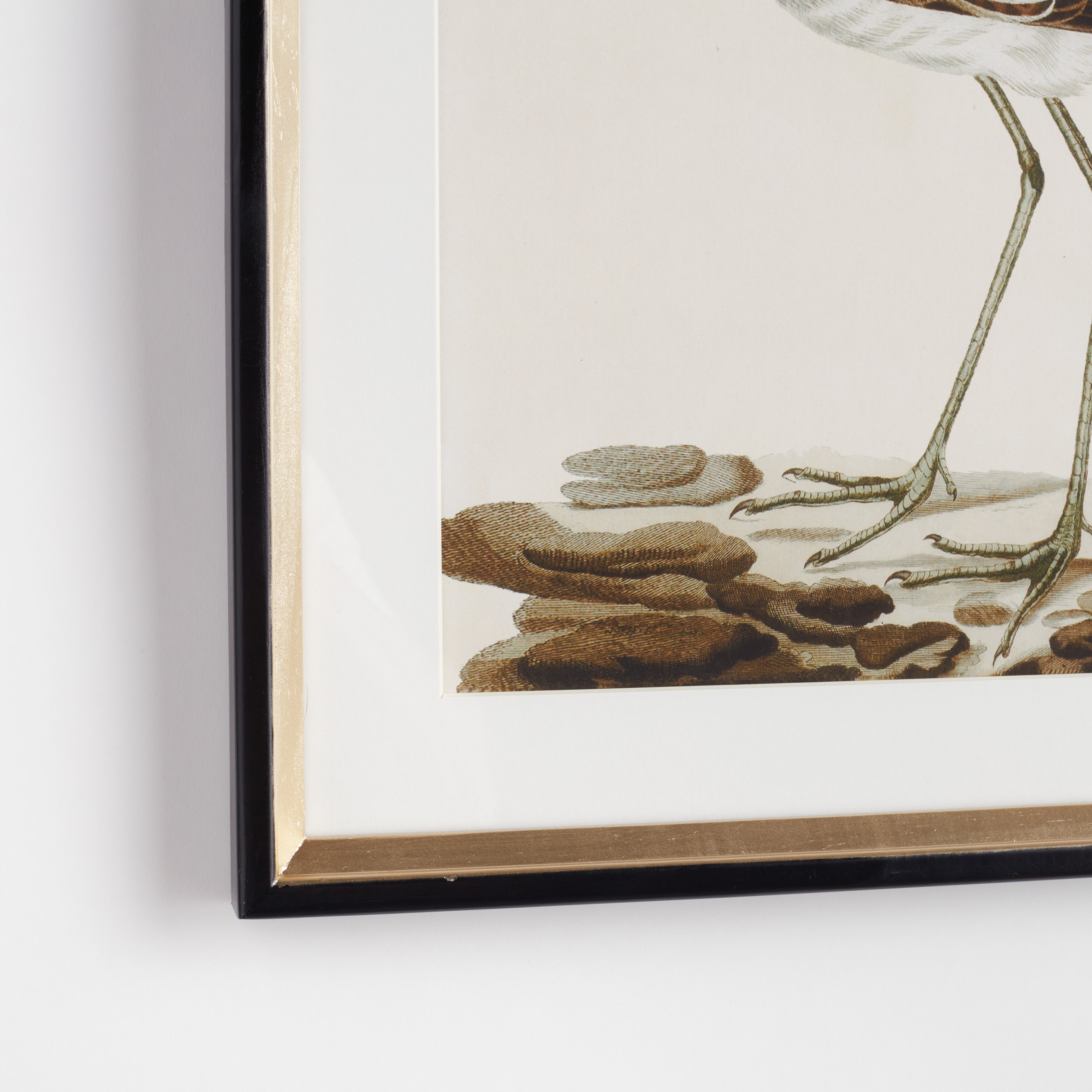 Wandering Birds Study, Set Of 3 - View 2