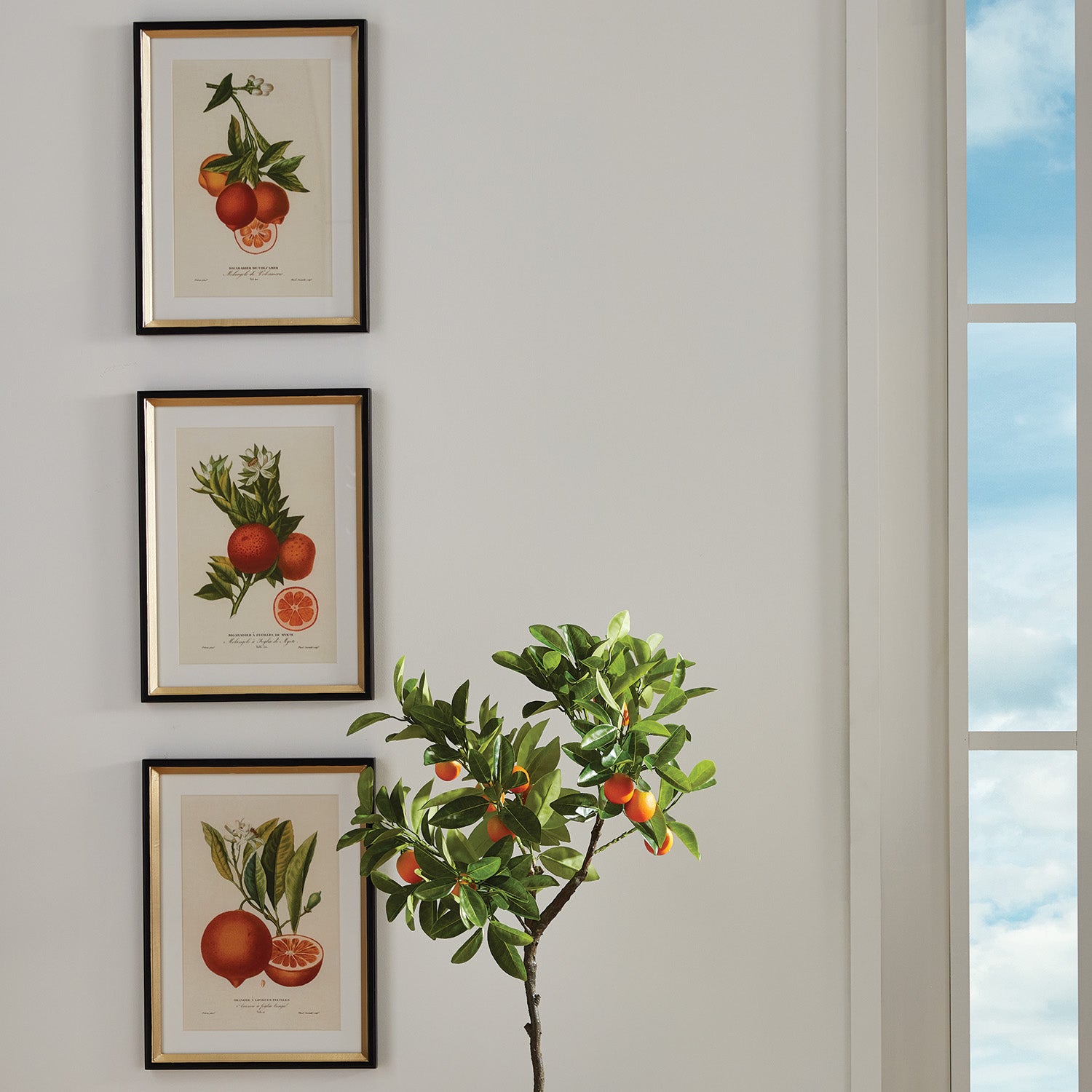 Citrus Cuttings Study, Set Of 4 - View 2