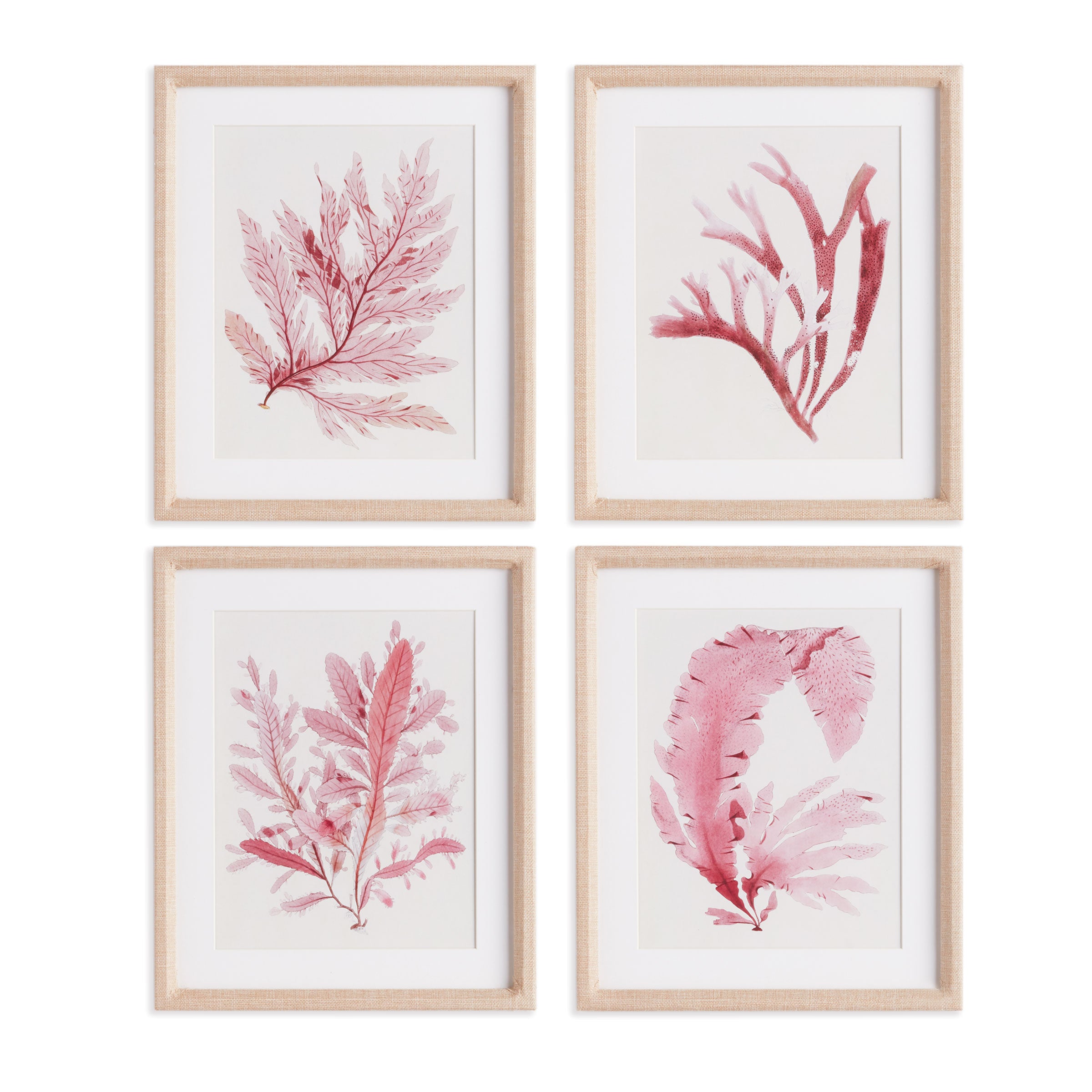 Watercolor Seaweed Prints, Set Of 4
