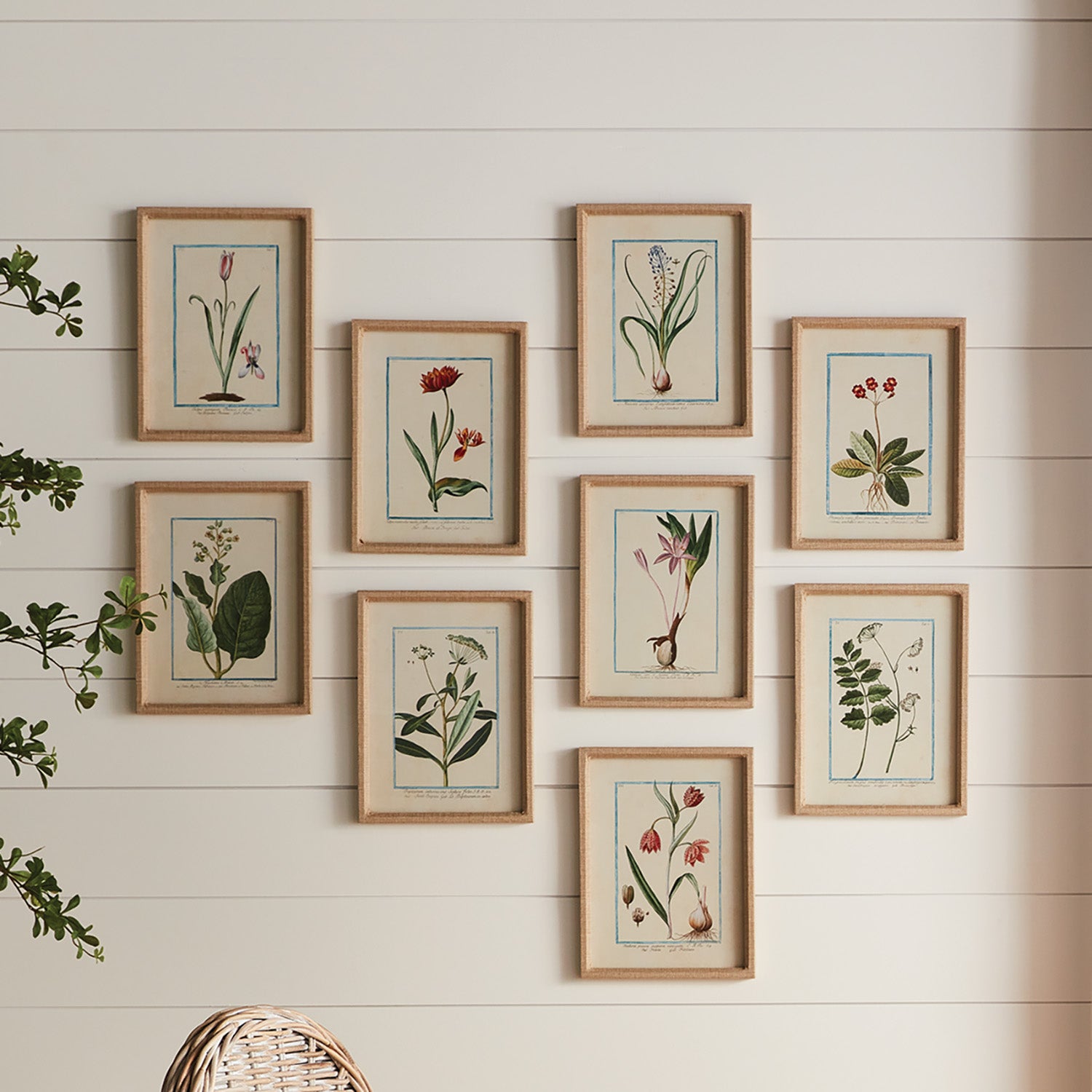 DAINTY FLORA & FAUNA STUDY, SET OF 9 - view 3