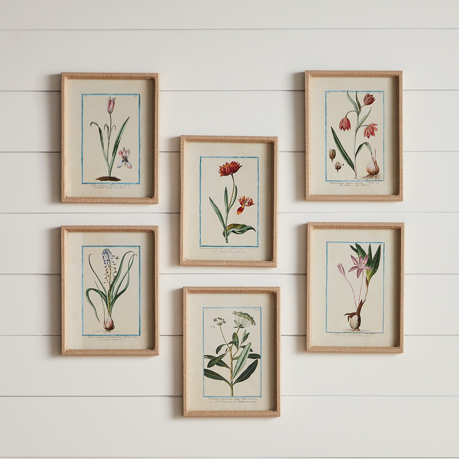DAINTY FLORA & FAUNA STUDY, SET OF 9 - view 4