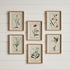 DAINTY FLORA & FAUNA STUDY, SET OF 9 - view 4