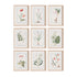 Dainty Flora & Fauna Study, Set Of 9