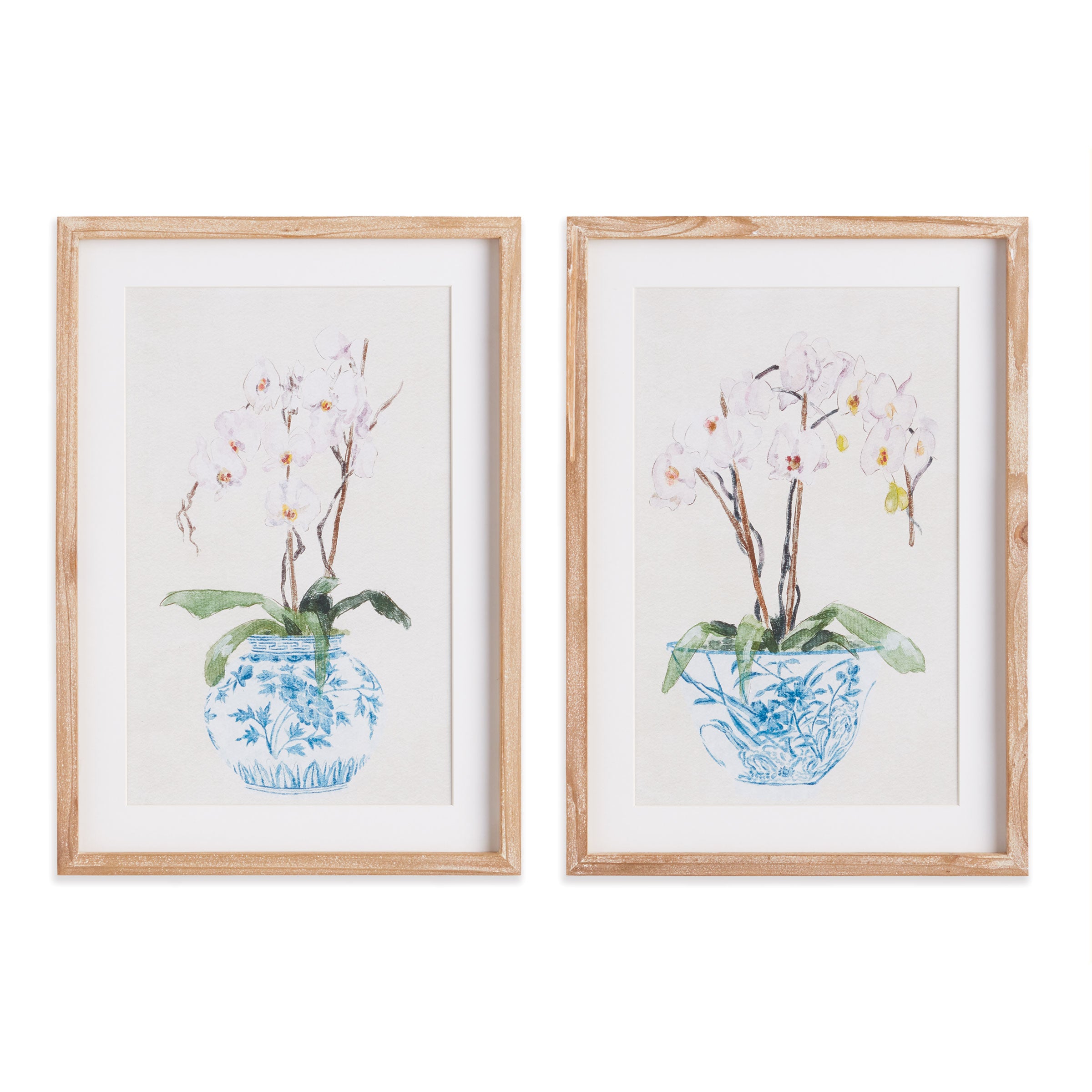 Potted Phalaenopsis Prints, Set Of 2