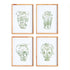 Chinoiserie Jar Prints, Set Of 4