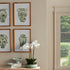 CHINOISERIE JAR PRINTS, SET OF 4 - view 4