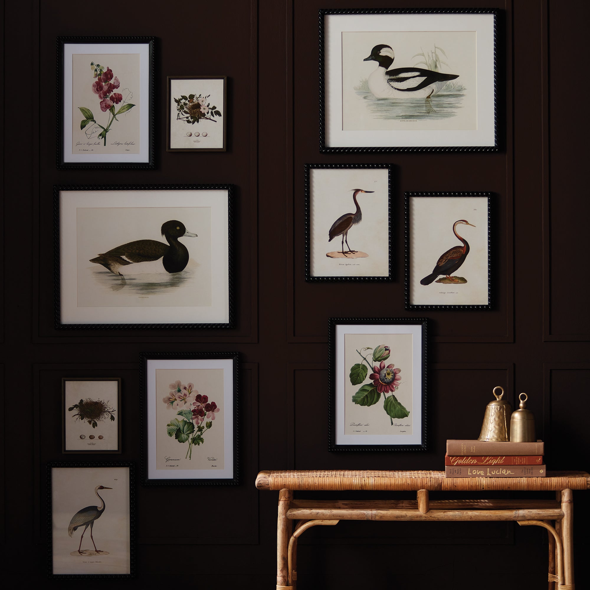 Assorted Bird Nest Study St/6 - View 3