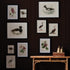 Assorted Bird Nest Study St/6 - View 3