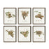 Assorted Bird Nest Study St/6