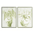 Greenery In Chinoiserie Giclees St/2