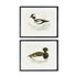 Wading Duck Prints St/2