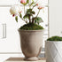 Gale Pots, Set Of 2 - View 2