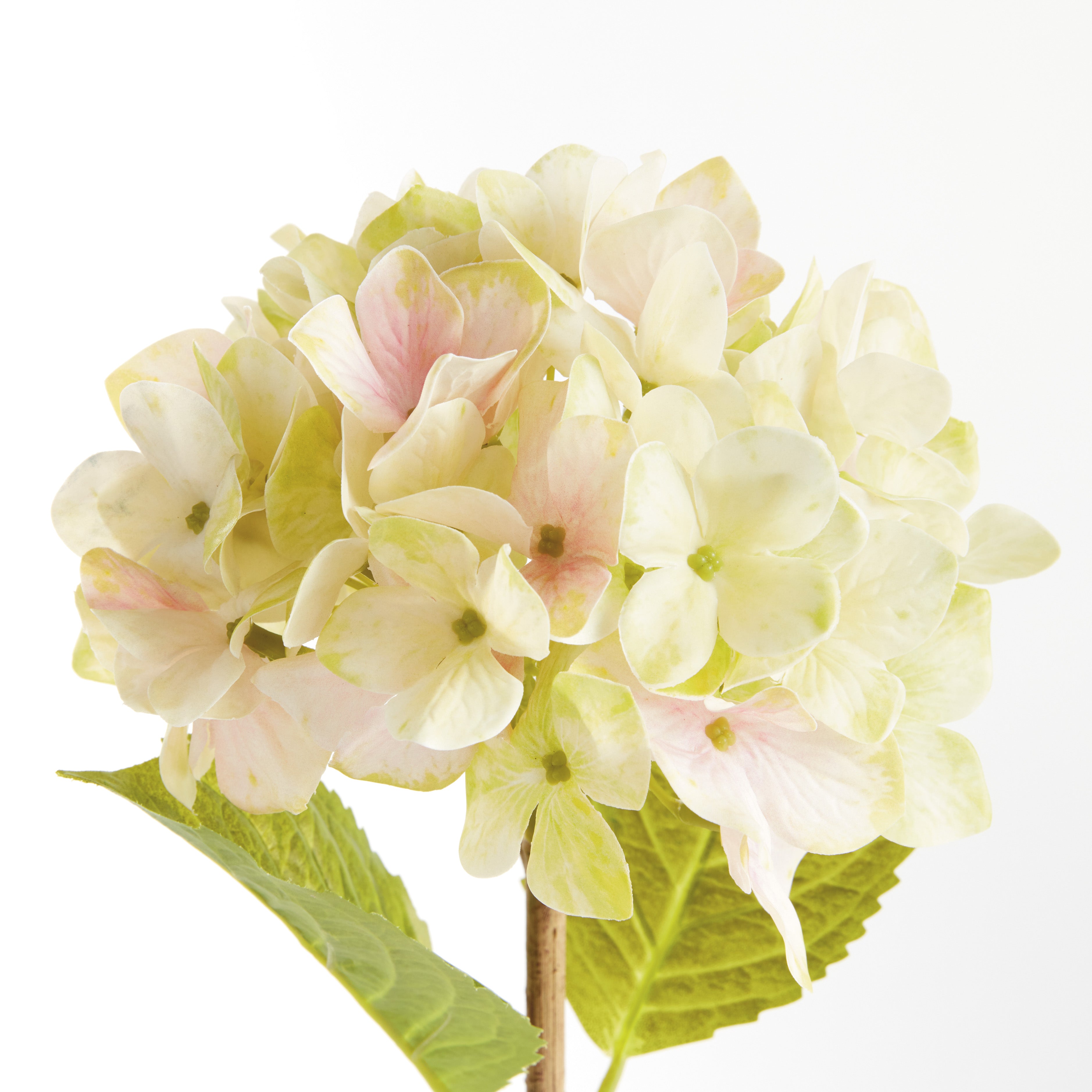 Hydrangea Stems 18", Set Of 6 - View 3