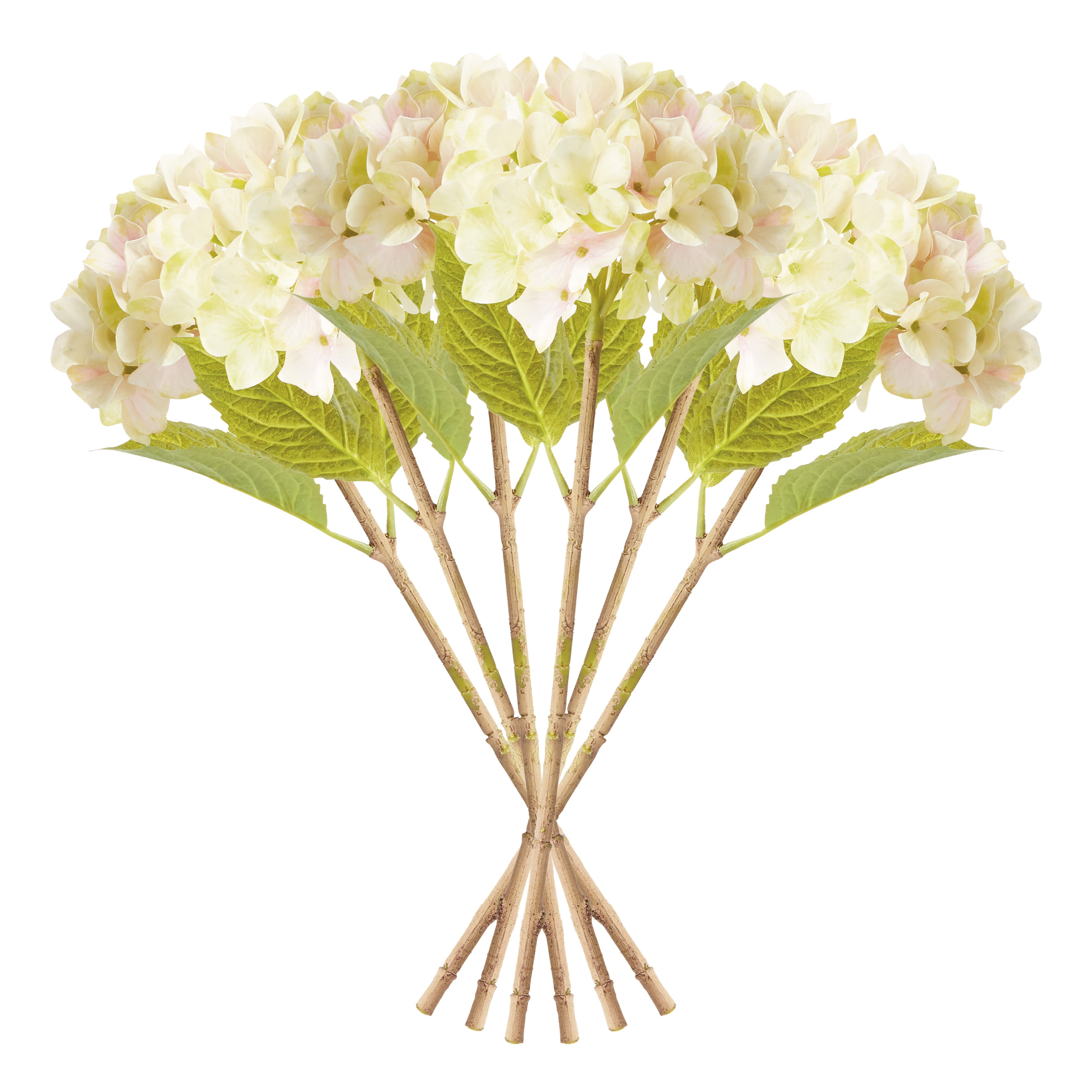 Hydrangea Stems 18", Set Of 6 - View 4