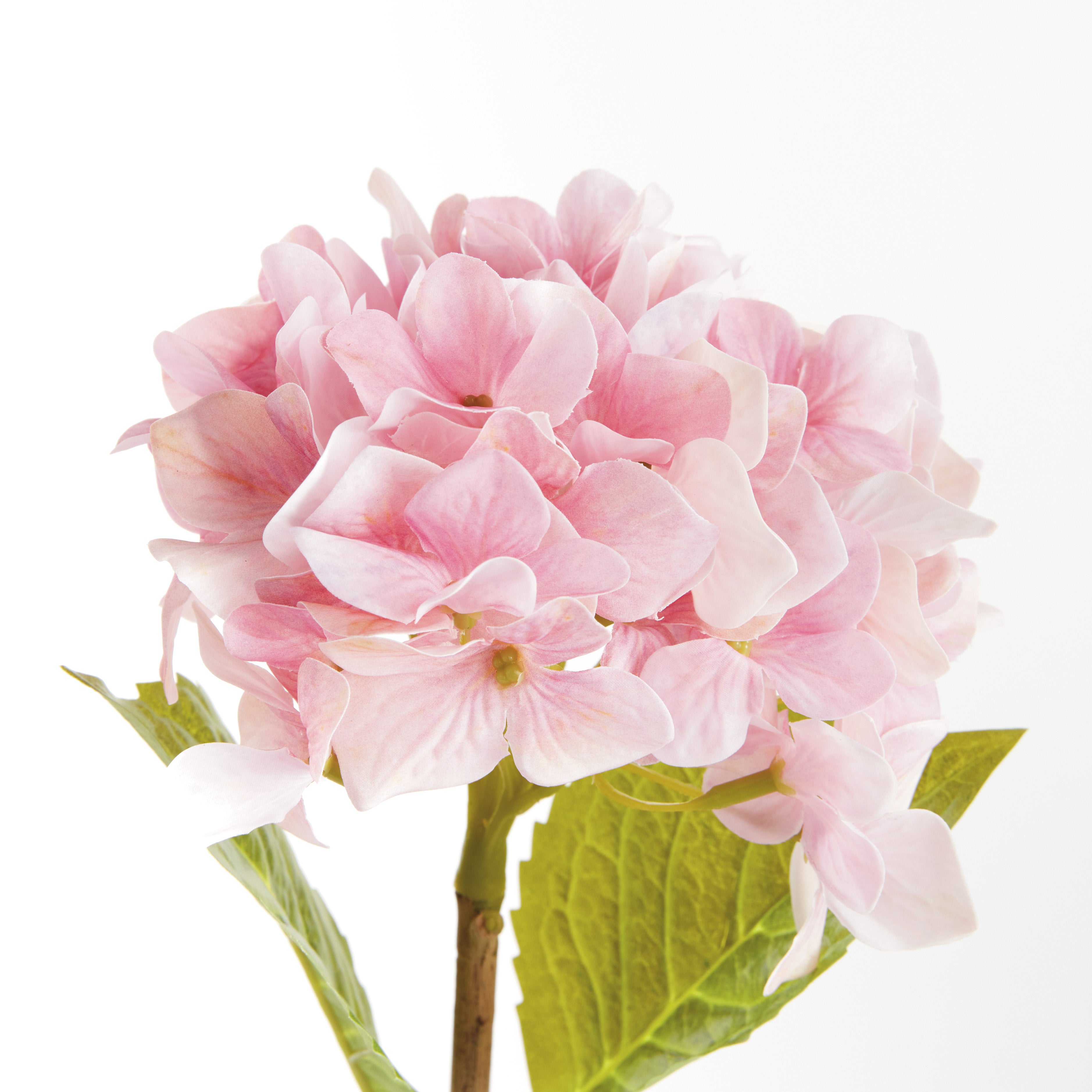 Hydrangea Stems 18", Set Of 6 - View 3