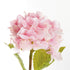 Hydrangea Stems 18", Set Of 6 - View 3