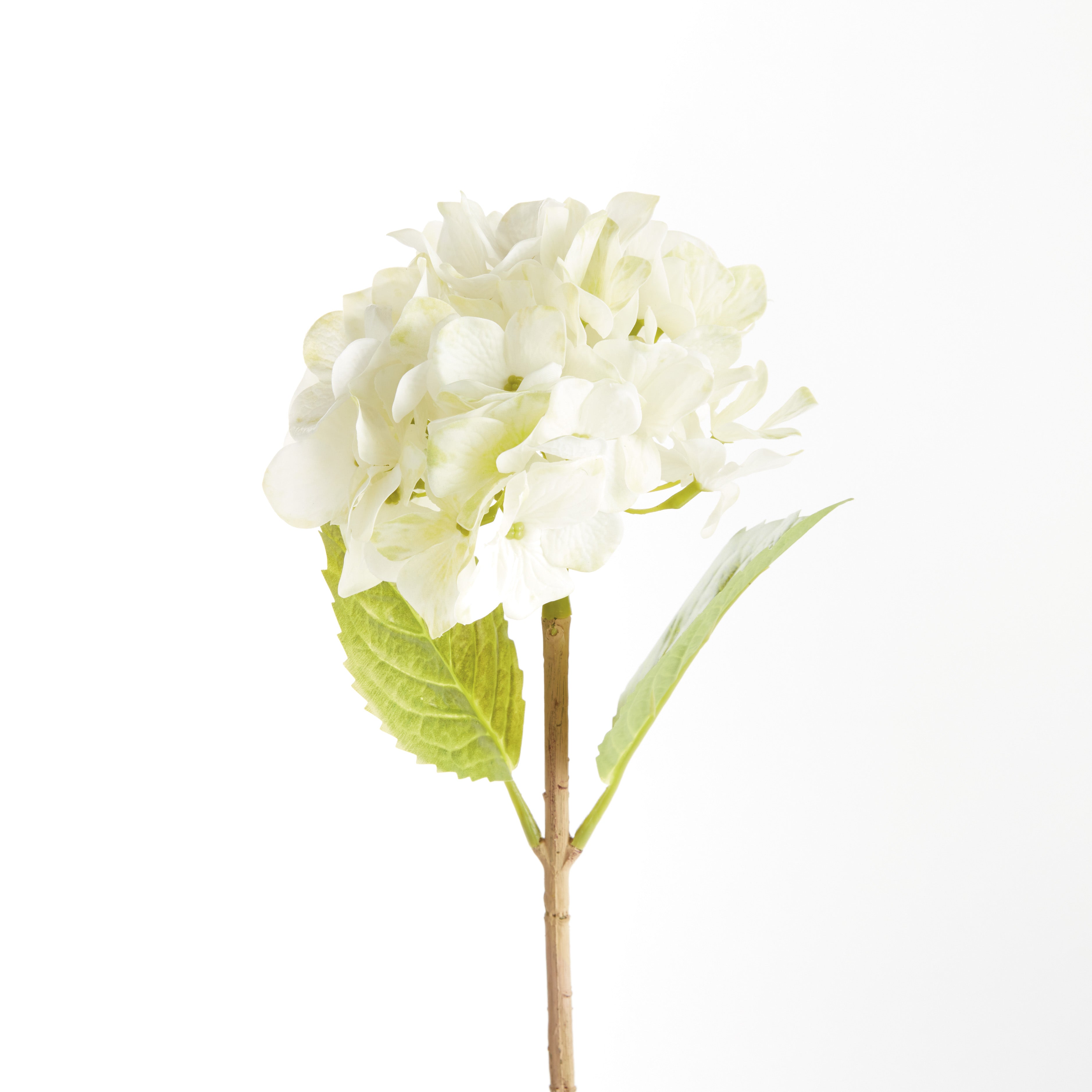 Hydrangea Stems 18", Set Of 6 - View 2